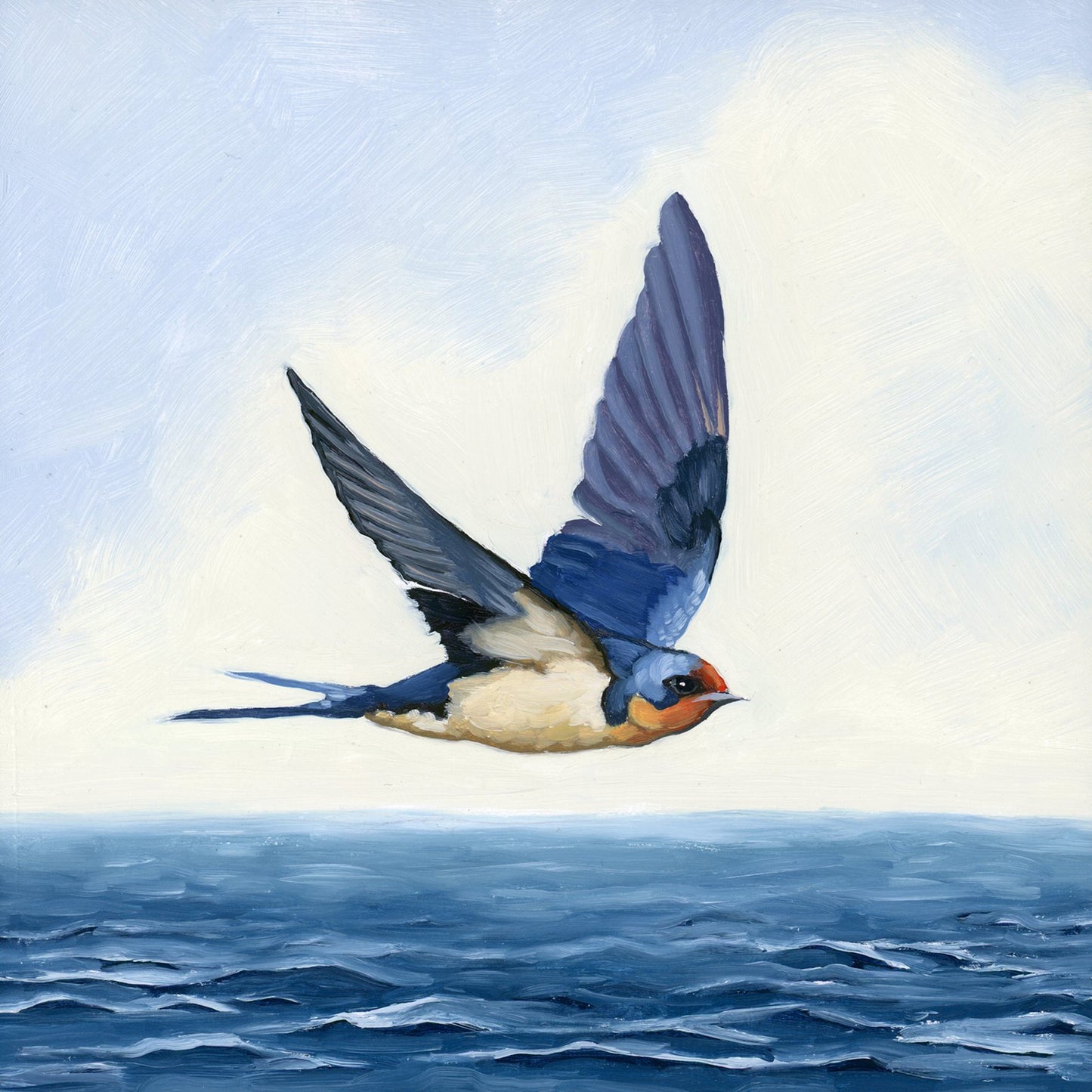 Barn Swallow Flying (8x8)
