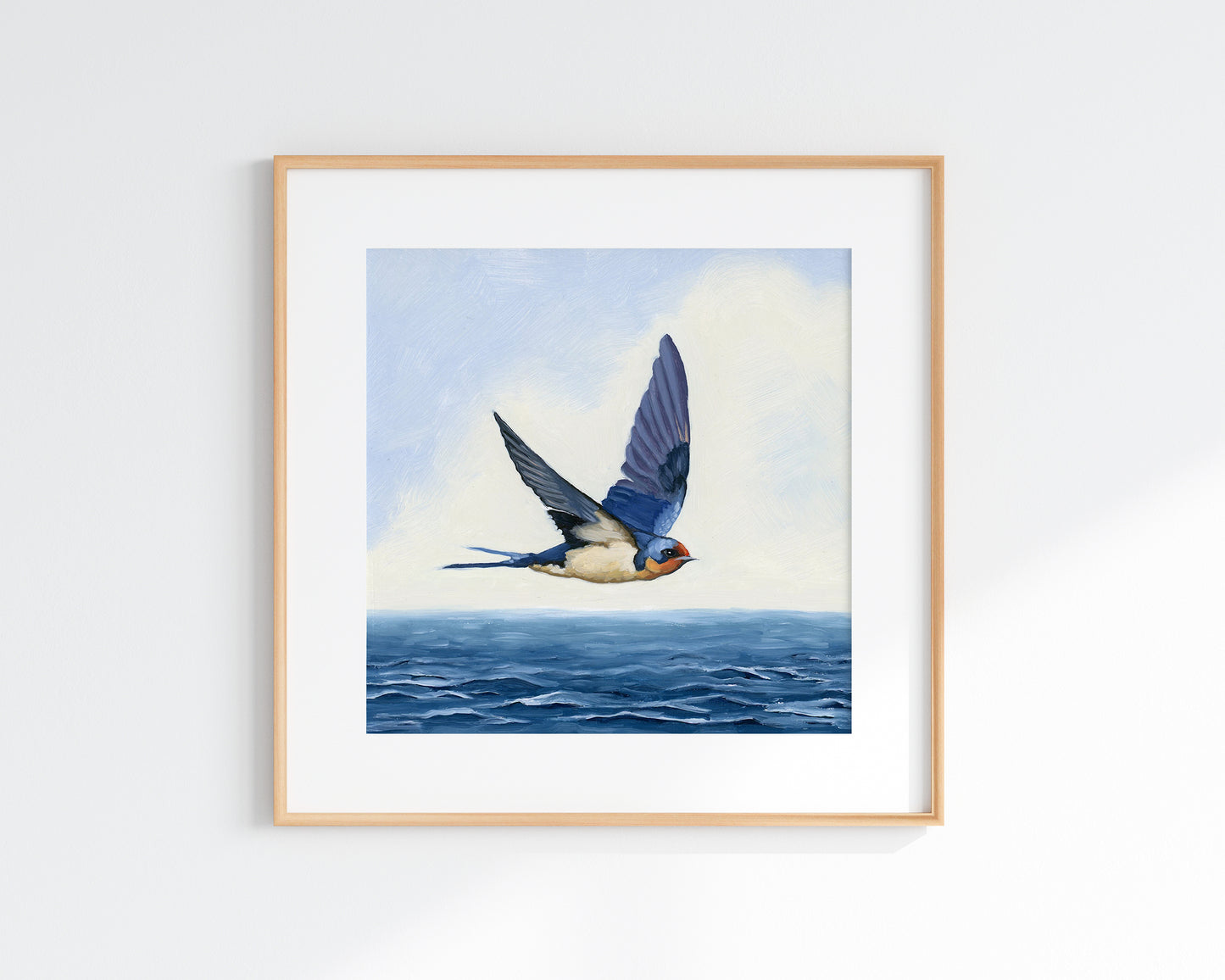 Barn Swallow Flying (8x8)