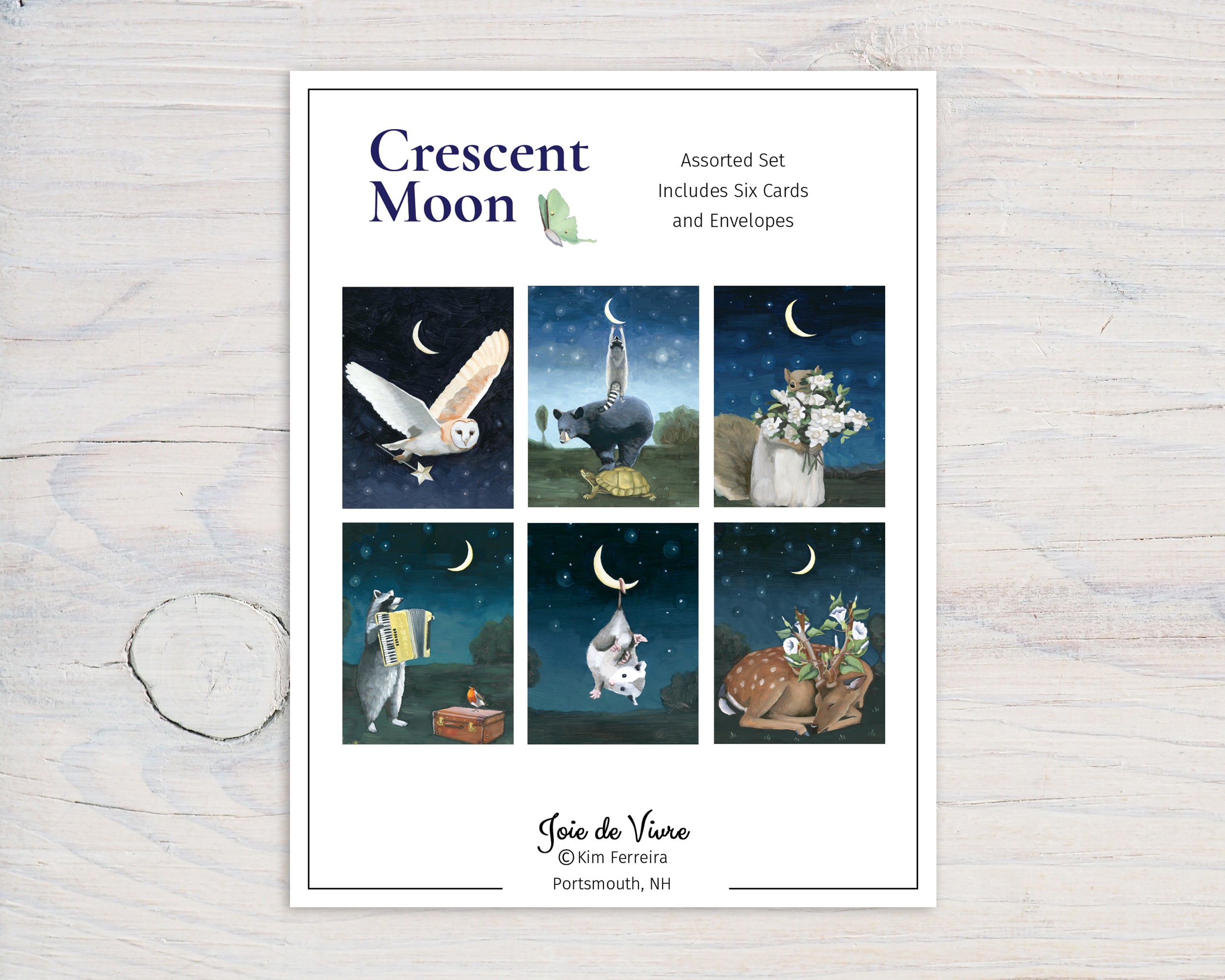 Moon Note Cards Box Sets of Notecards – Kim Ferreira