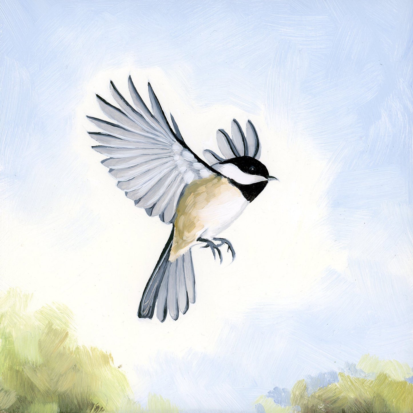 Black-capped Chickadee - 6x6 original oil painting