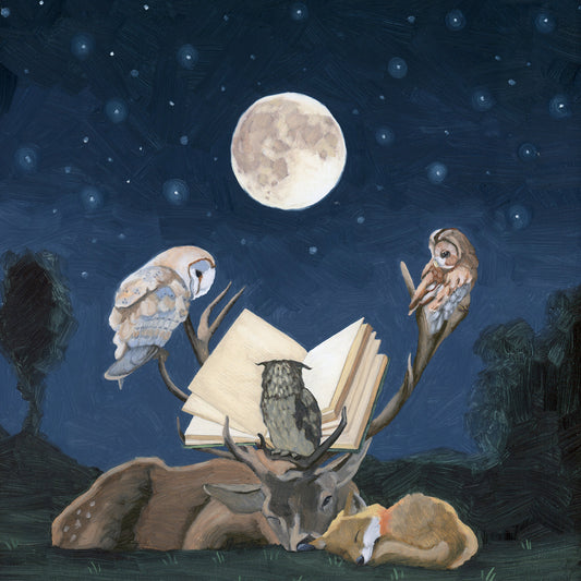 Owls Reading - 12x12 Original Oil Painting