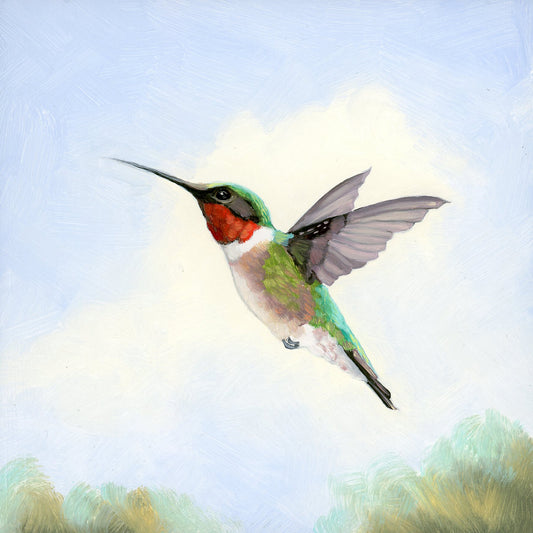 Ruby-throated Hummingbird - 6x6 original oil painting