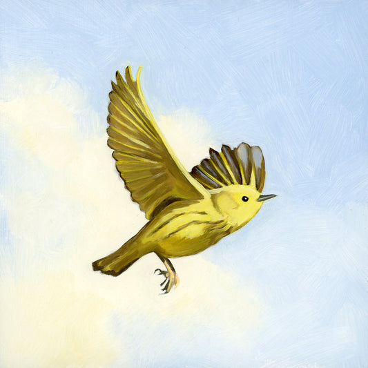 Yellow Warbler - 6x6 original oil painting