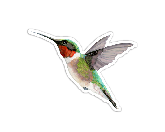 Hummingbird Vinyl Sticker