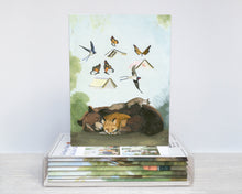 Load image into Gallery viewer, NEW! So Many Books - Box Set of Notecards