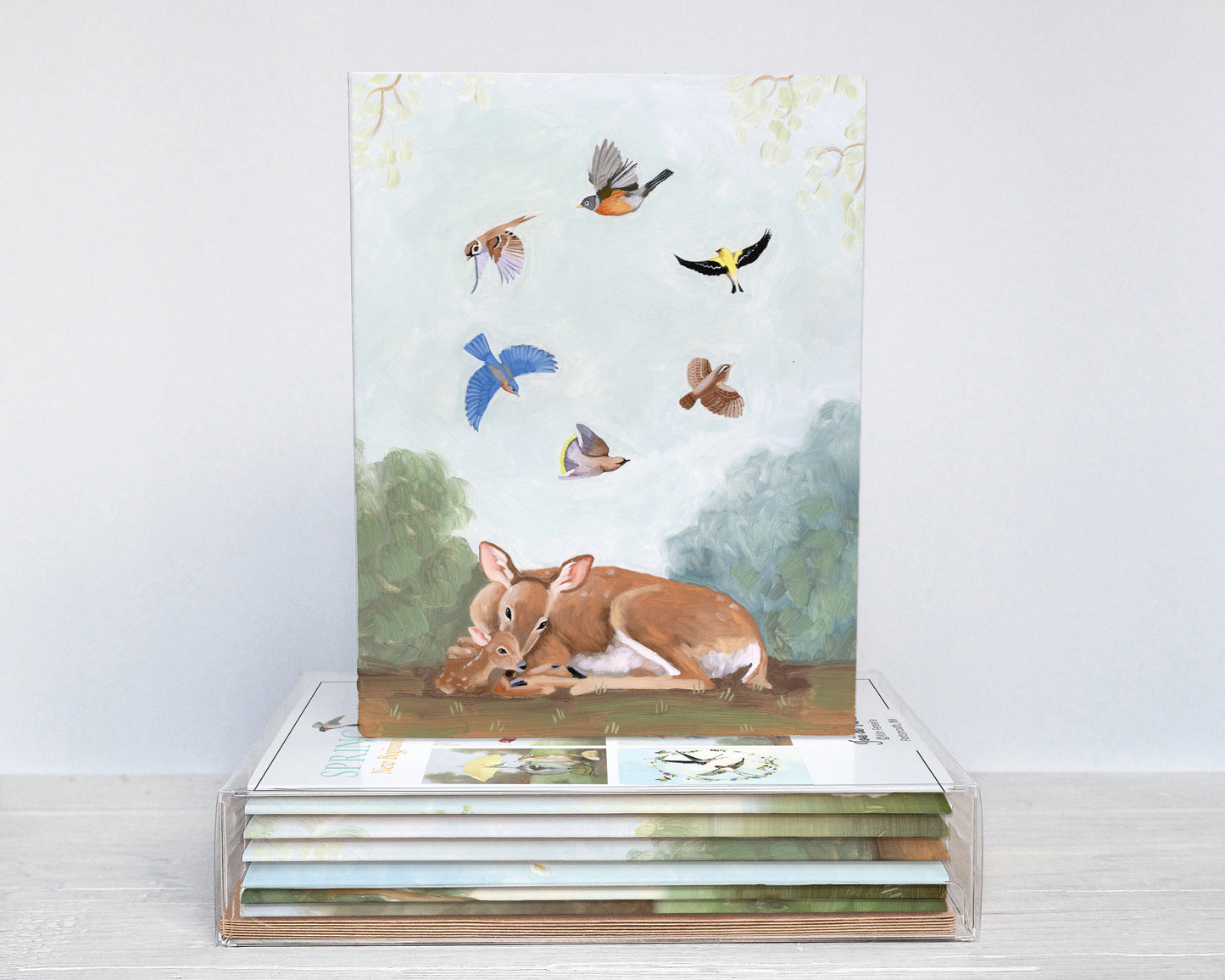 Spring, New Beginnings Box Set (6 Notecards)