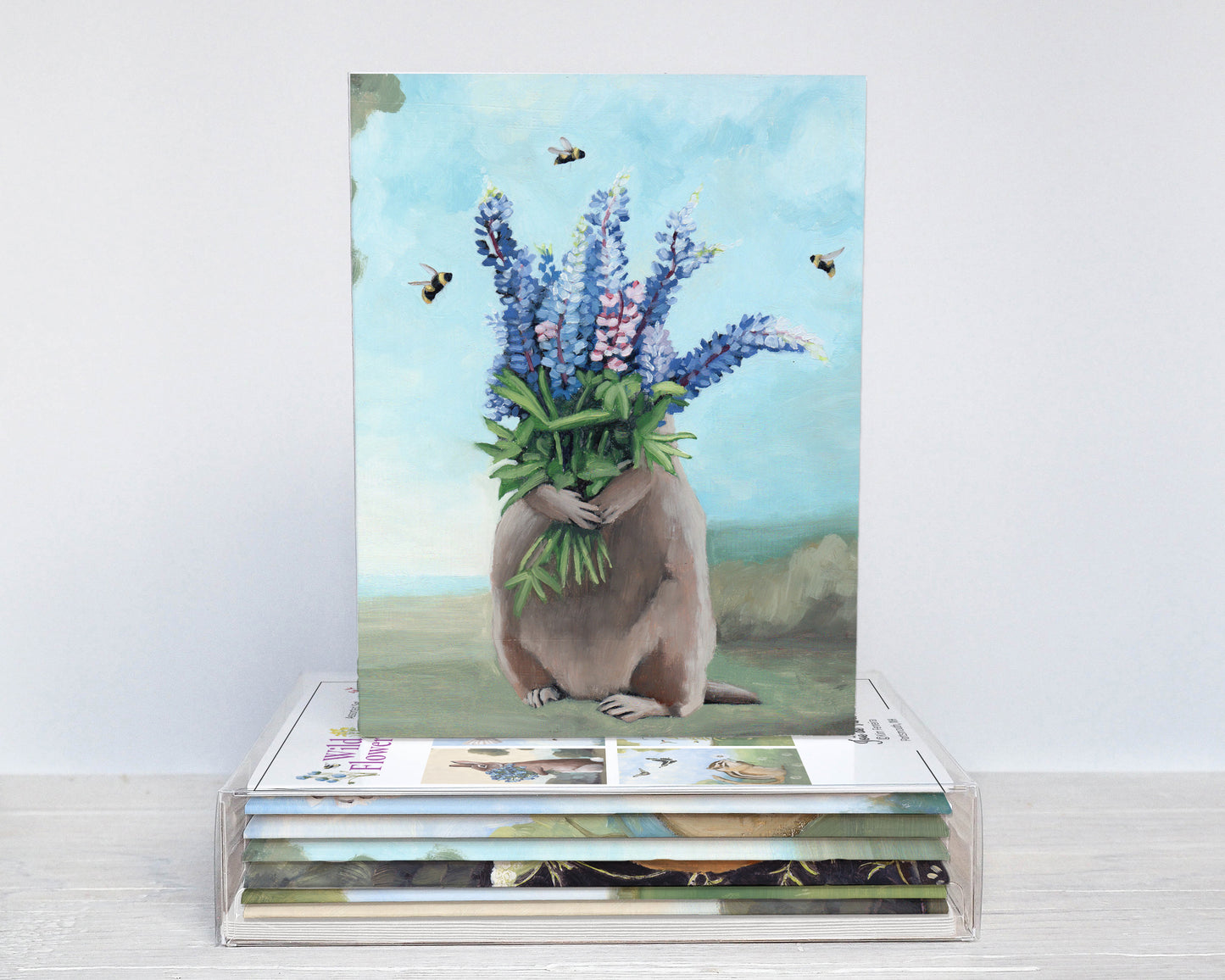 Wildflowers Box Set (6 Notecards)