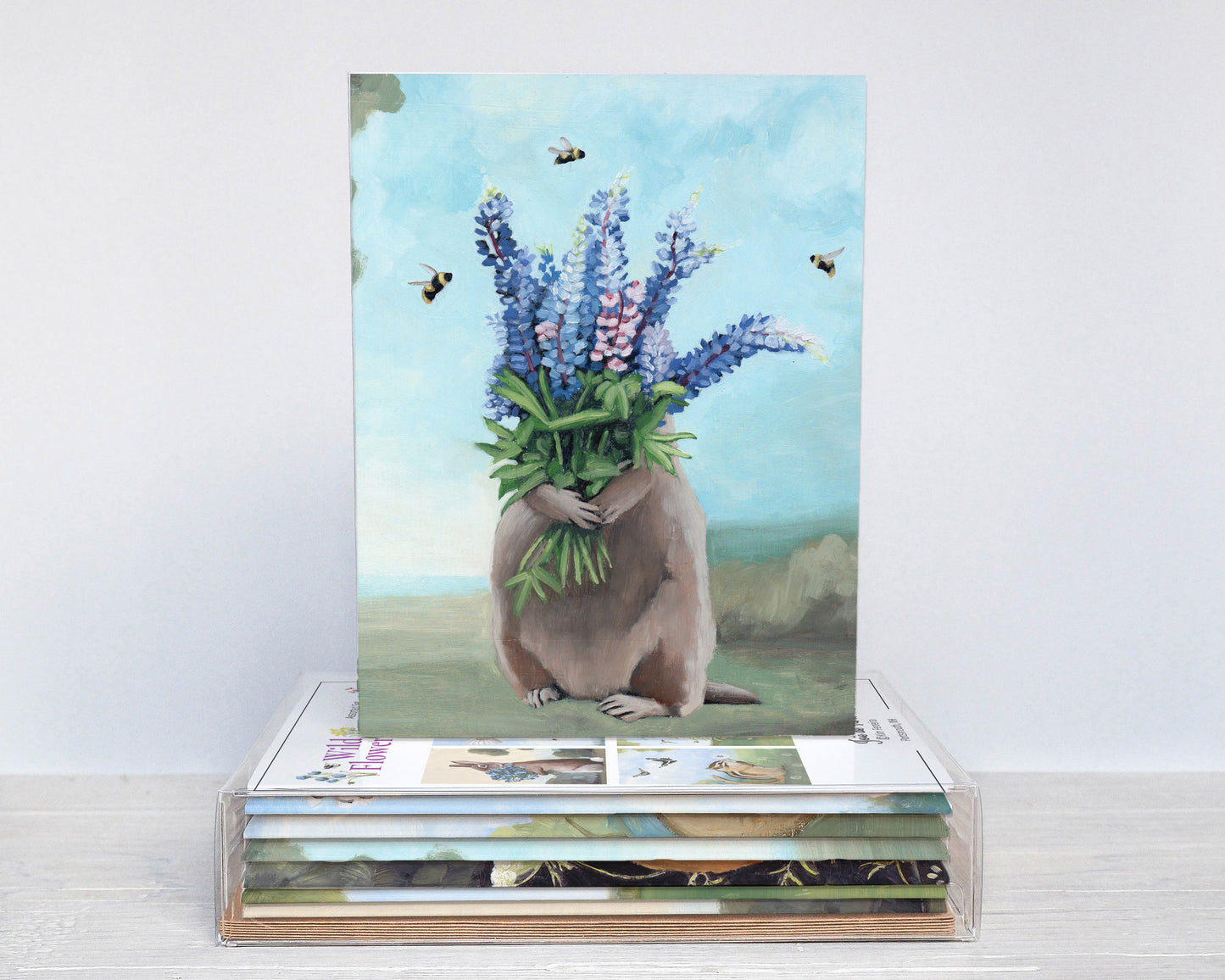 Wildflowers Box Set (6 Notecards)