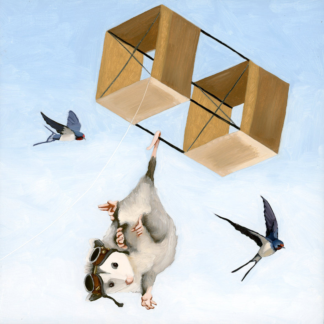 Opossum w/ Aviator Goggles and Box Kite - Art Print